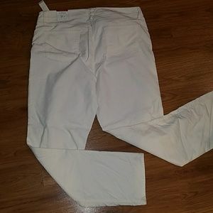 Talbots Flawless Five Pocket Plush Velveteen